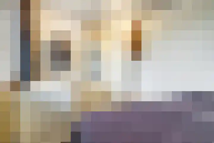 Jan Th. Tooroplaan 122 Ede thumbnail 22