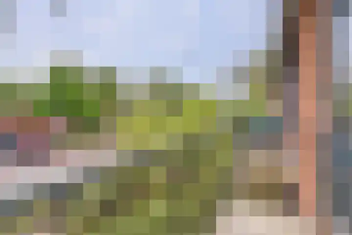 Jan Th. Tooroplaan 122 Ede thumbnail 28