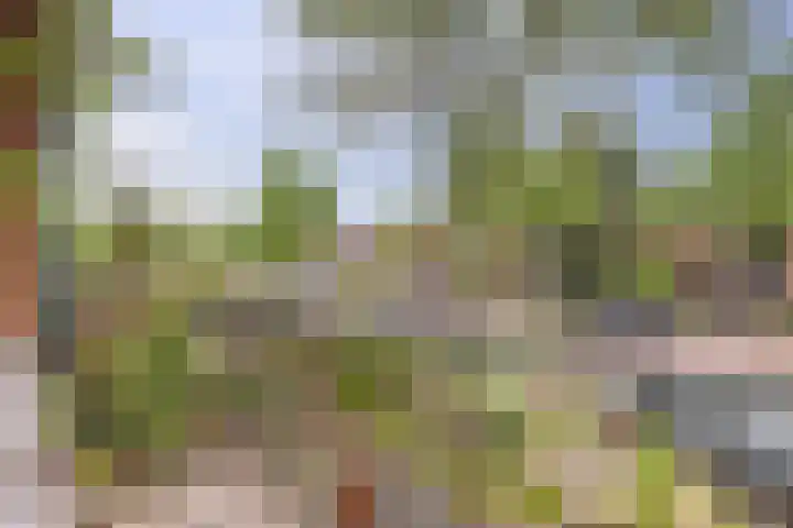 Jan Th. Tooroplaan 122 Ede thumbnail 29