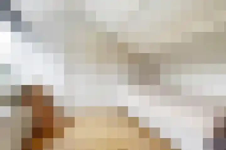 Jan Th. Tooroplaan 122 Ede thumbnail 31
