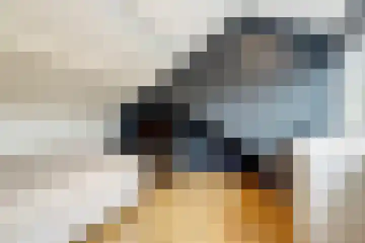 Jan Th. Tooroplaan 122 Ede thumbnail 32