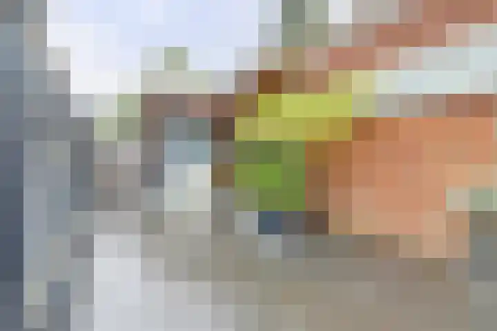 Jan Th. Tooroplaan 122 Ede thumbnail 33