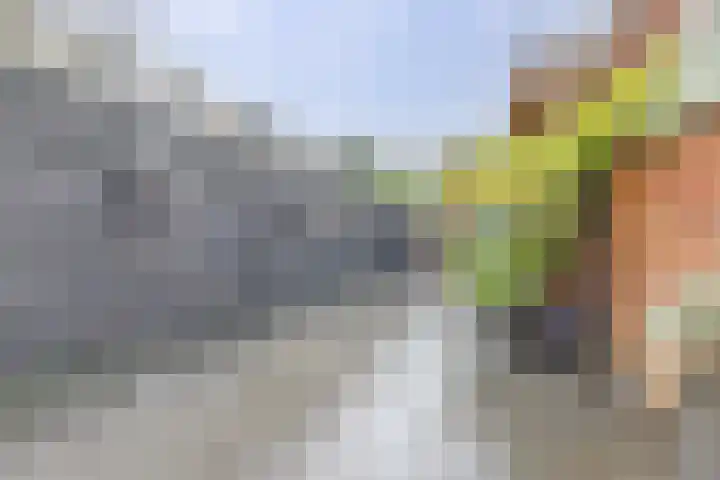 Jan Th. Tooroplaan 122 Ede thumbnail 36