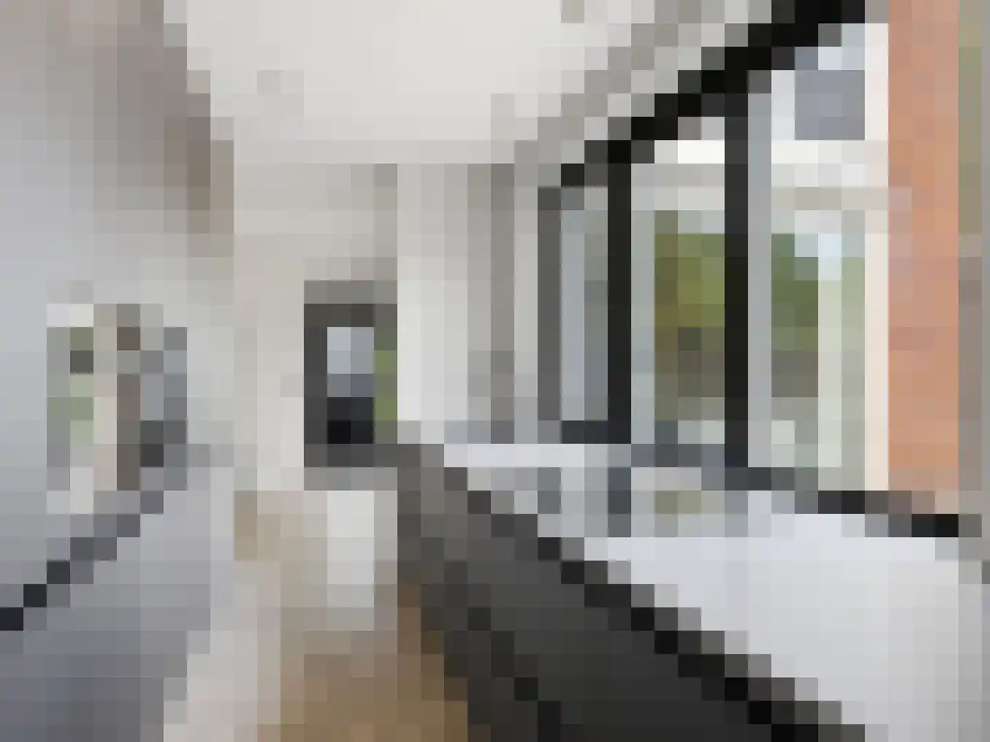 Jan Th. Tooroplaan 155 Ede thumbnail 17