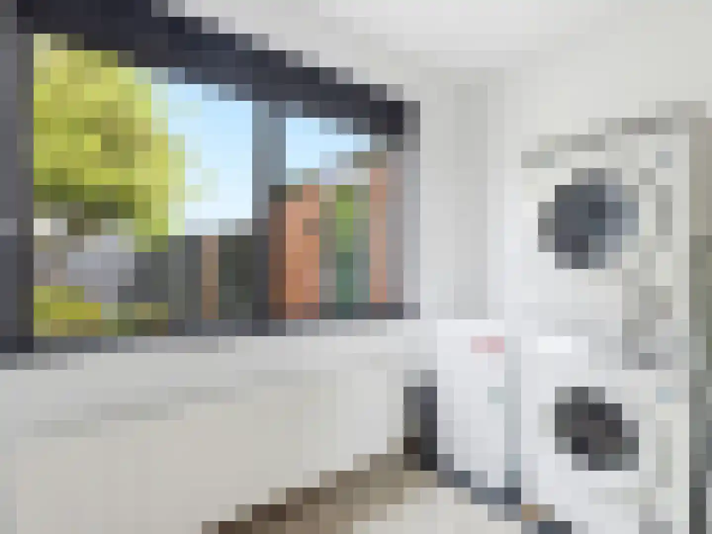 Jan Th. Tooroplaan 155 Ede thumbnail 19