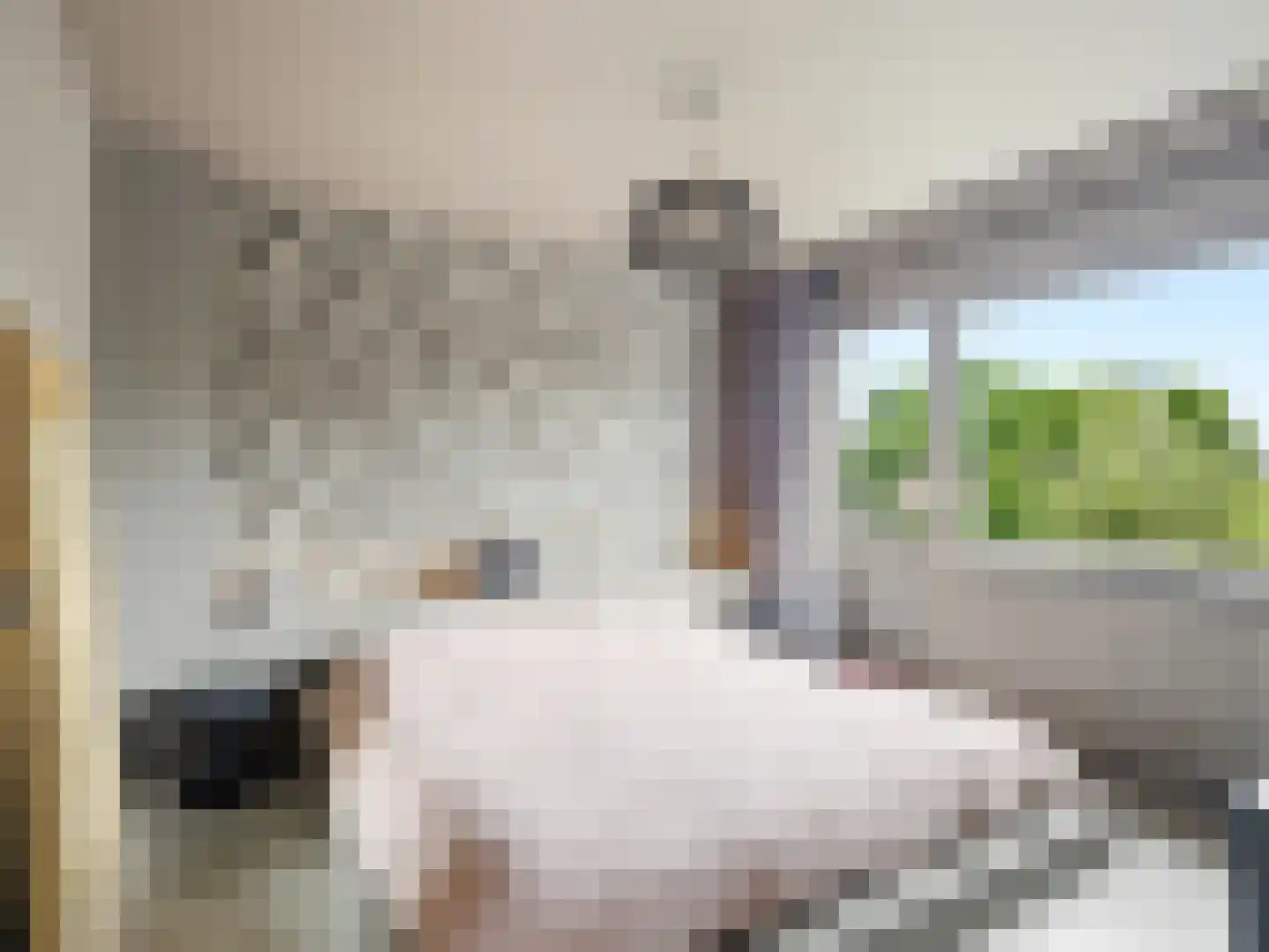 Jan Th. Tooroplaan 155 Ede thumbnail 22