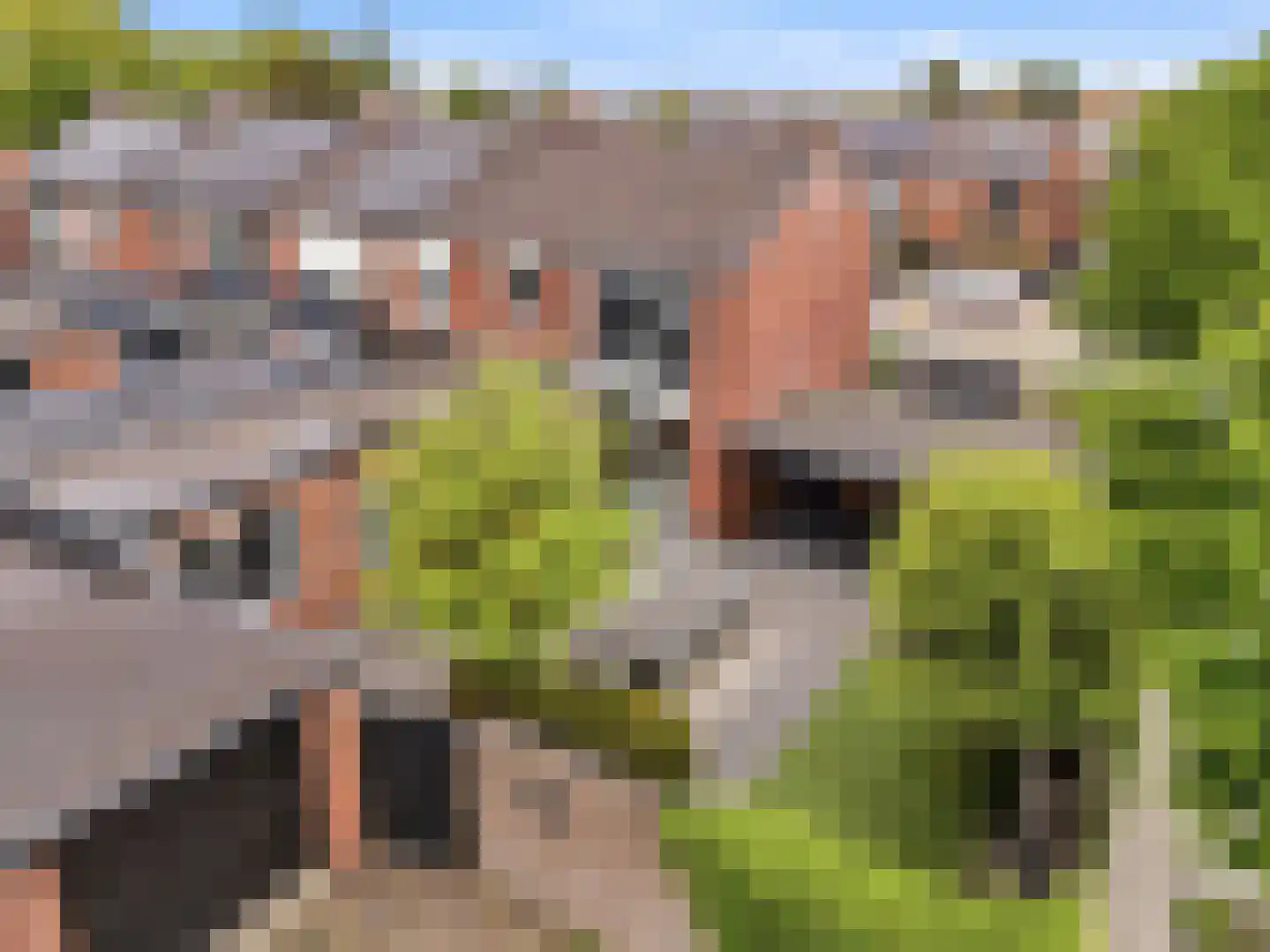 Jan Th. Tooroplaan 155 Ede thumbnail 33