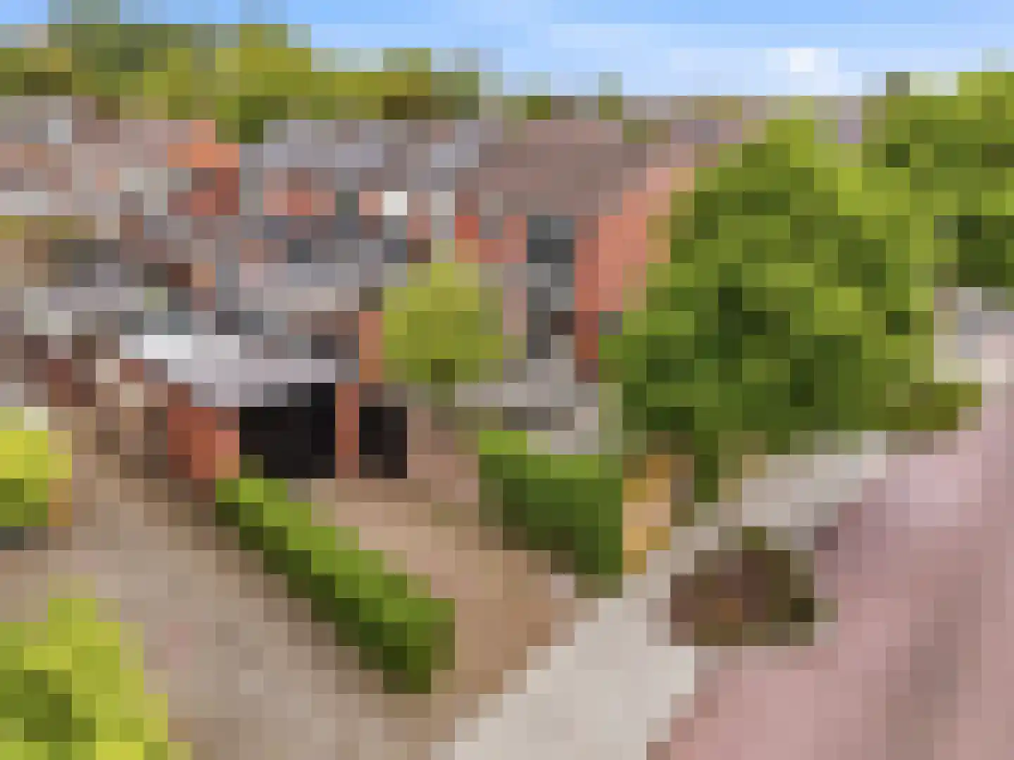 Jan Th. Tooroplaan 155 Ede thumbnail 36