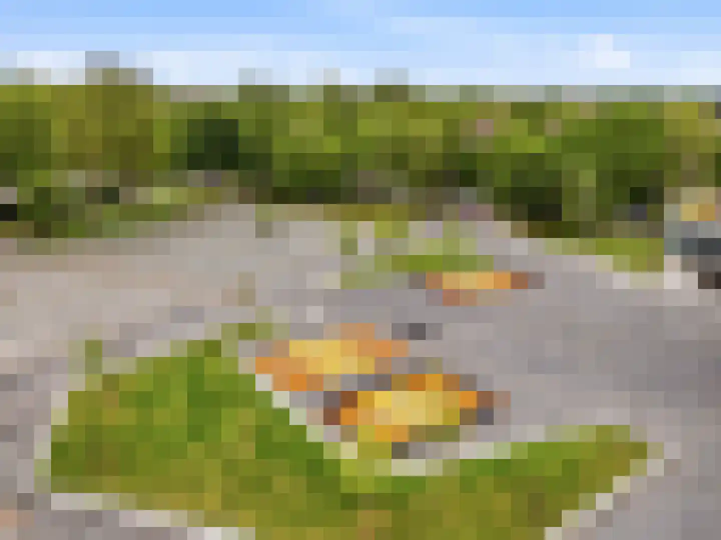 Jan Th. Tooroplaan 155 Ede thumbnail 39