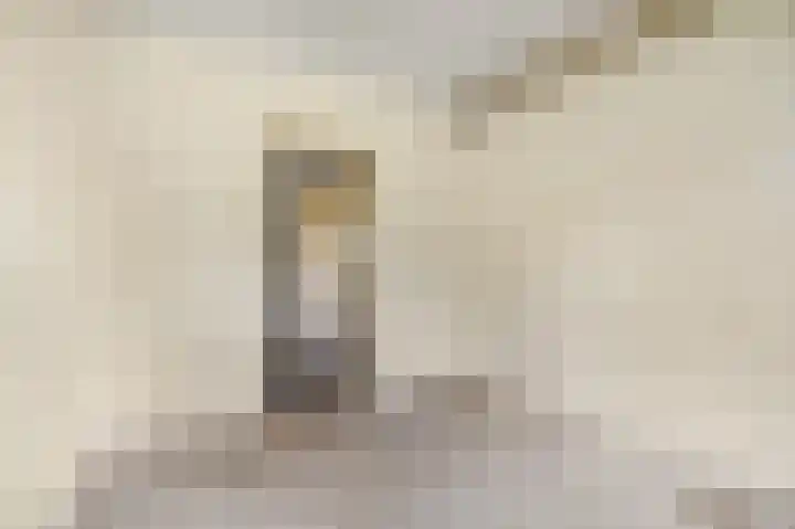Jan Th. Tooroplaan 25 Ede thumbnail 16