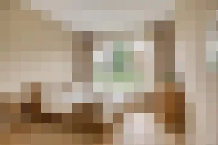 Jan Th. Tooroplaan 25 Ede thumbnail 19