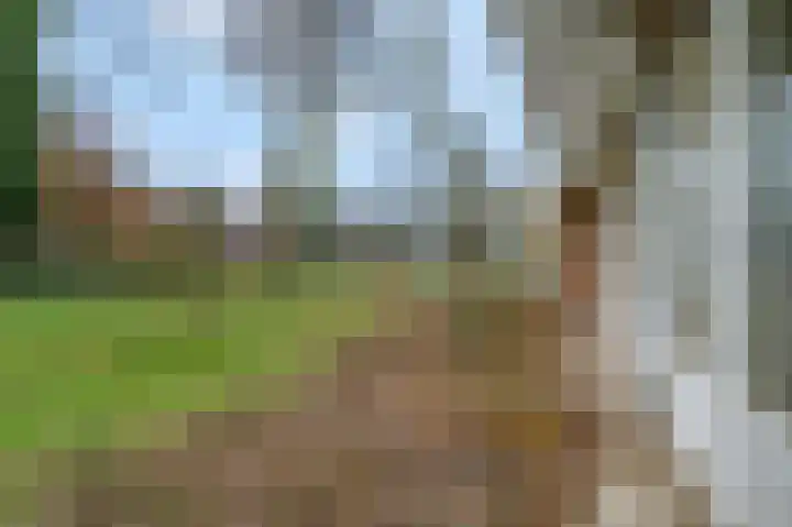 Jan Th. Tooroplaan 25 Ede thumbnail 23