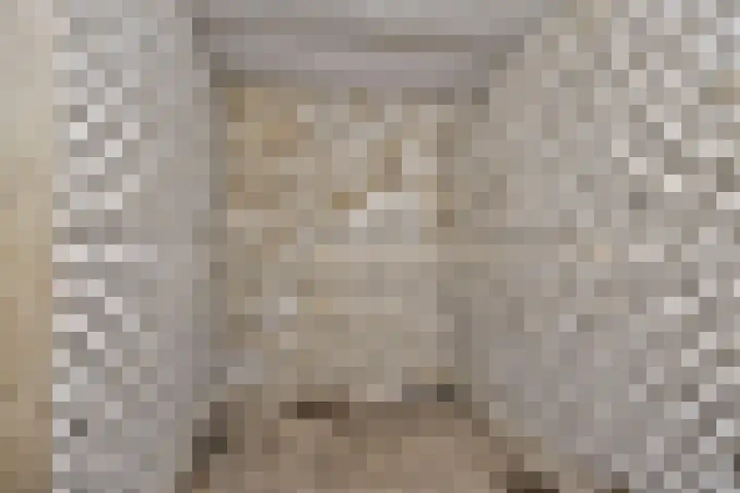 Jan Th. Tooroplaan 25 Ede thumbnail 24