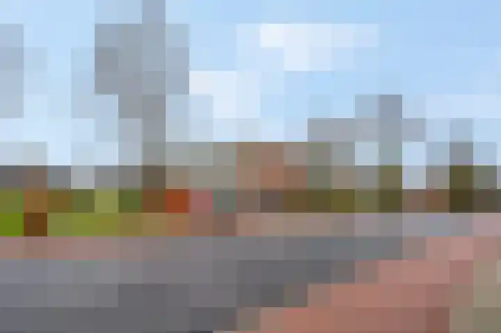 Jan Th. Tooroplaan 25 Ede thumbnail 26
