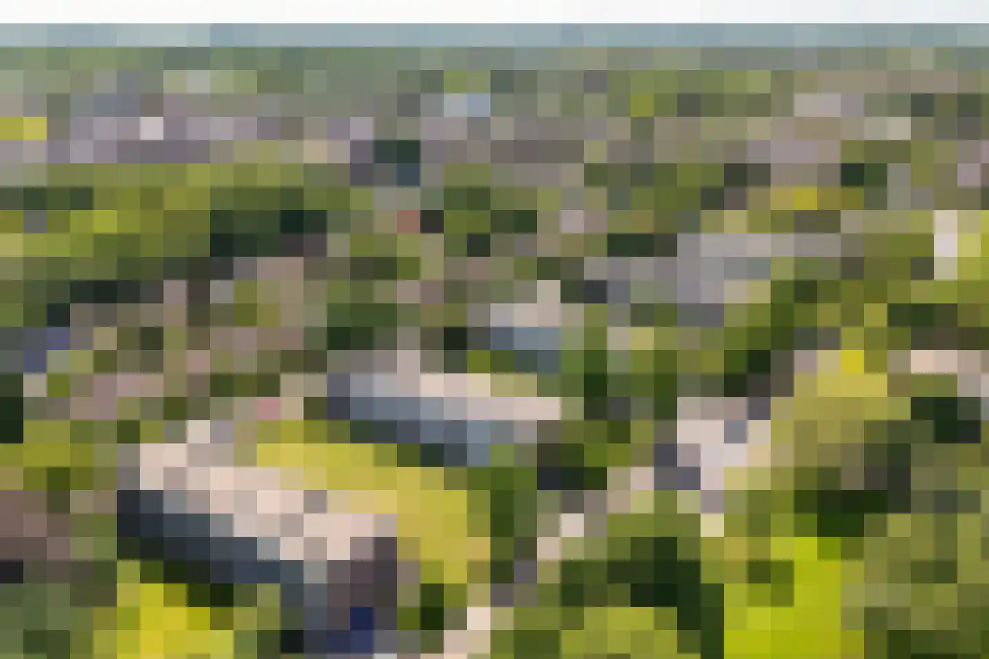 Jan Th. Tooroplaan 25 Ede thumbnail 28