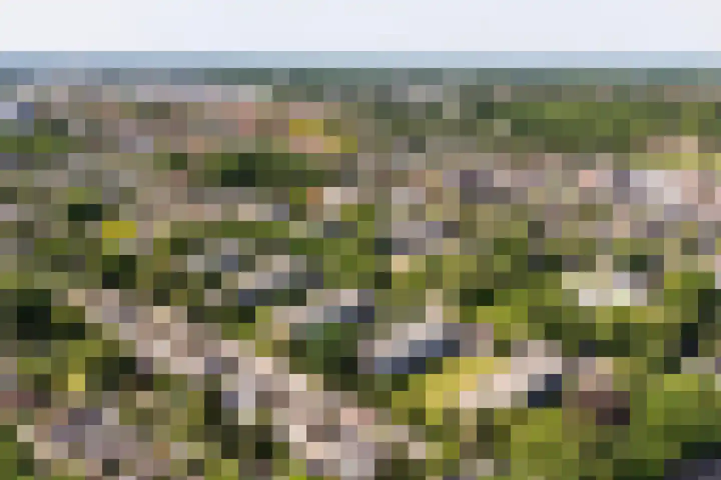 Jan Th. Tooroplaan 25 Ede thumbnail 29