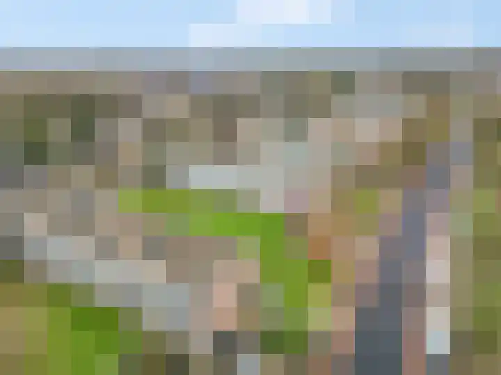 Jan Th. Tooroplaan 25 Ede thumbnail 29