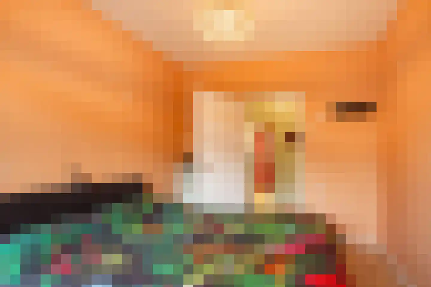 Jan Th. Tooroplaan 27 Ede thumbnail 11