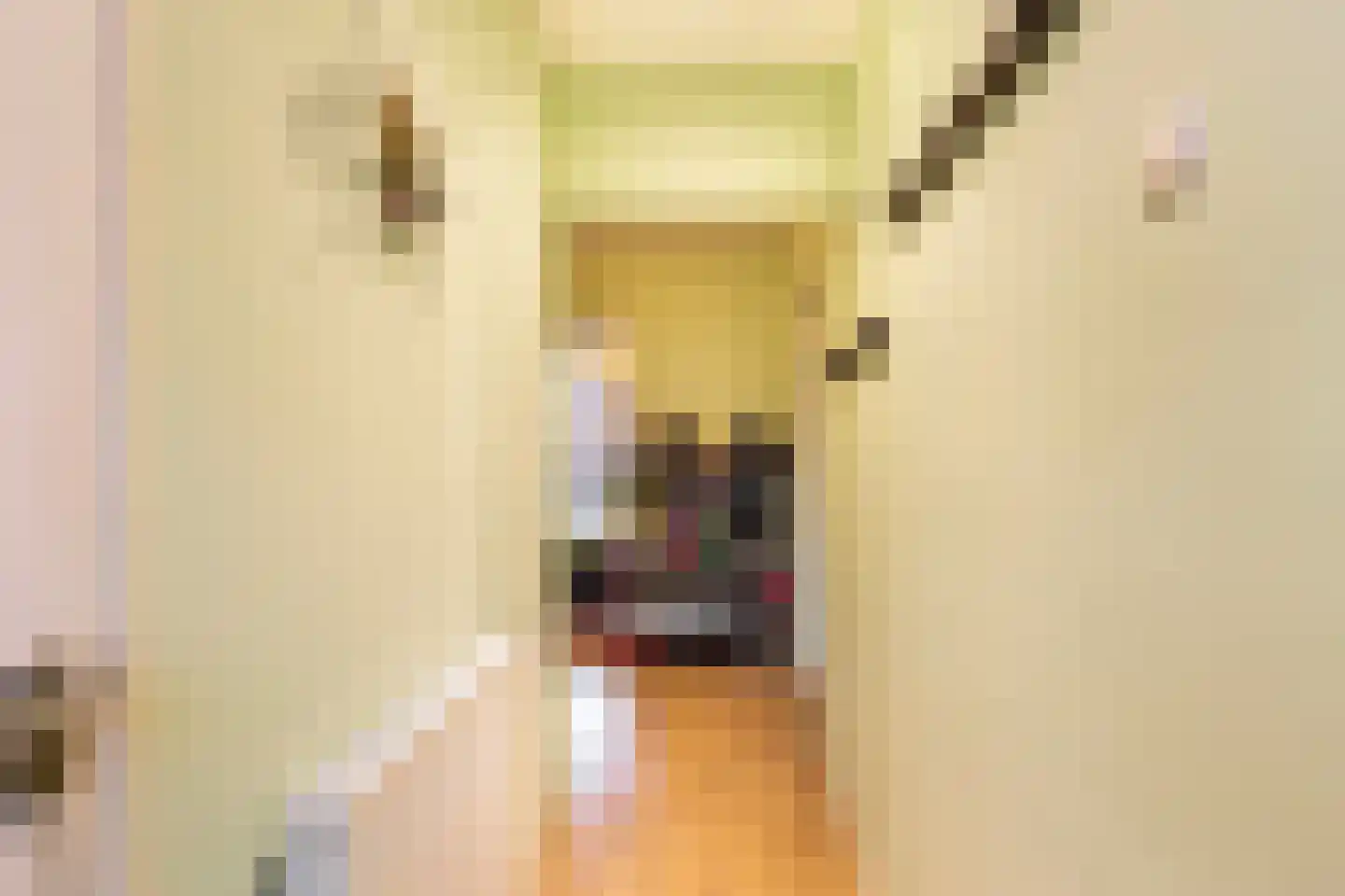 Jan Th. Tooroplaan 27 Ede thumbnail 16