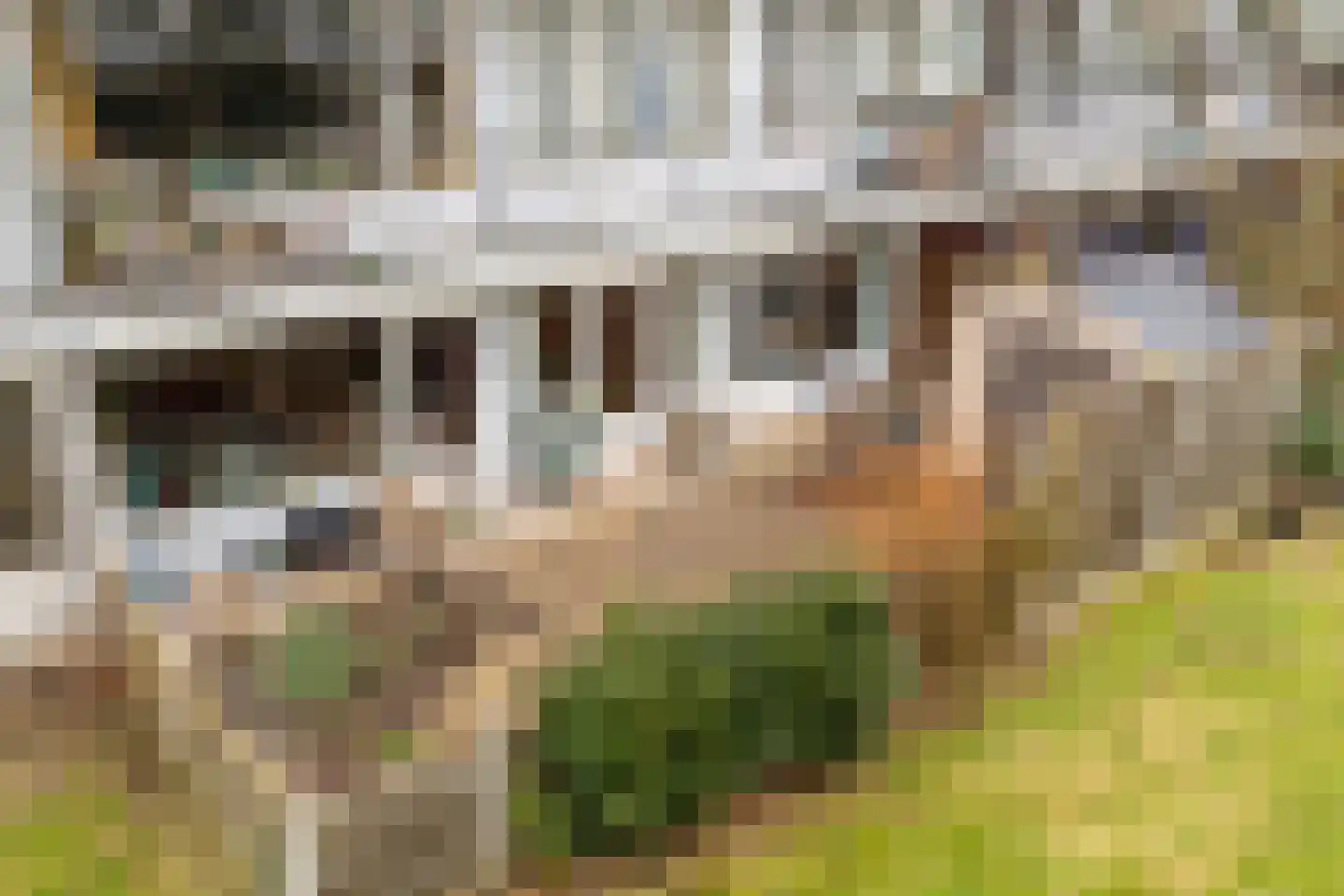 Jan Th. Tooroplaan 27 Ede thumbnail 21