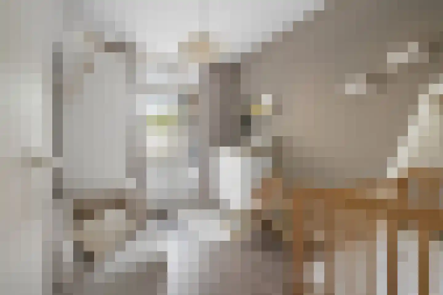 Jan Th. Tooroplaan 30 Ede thumbnail 17