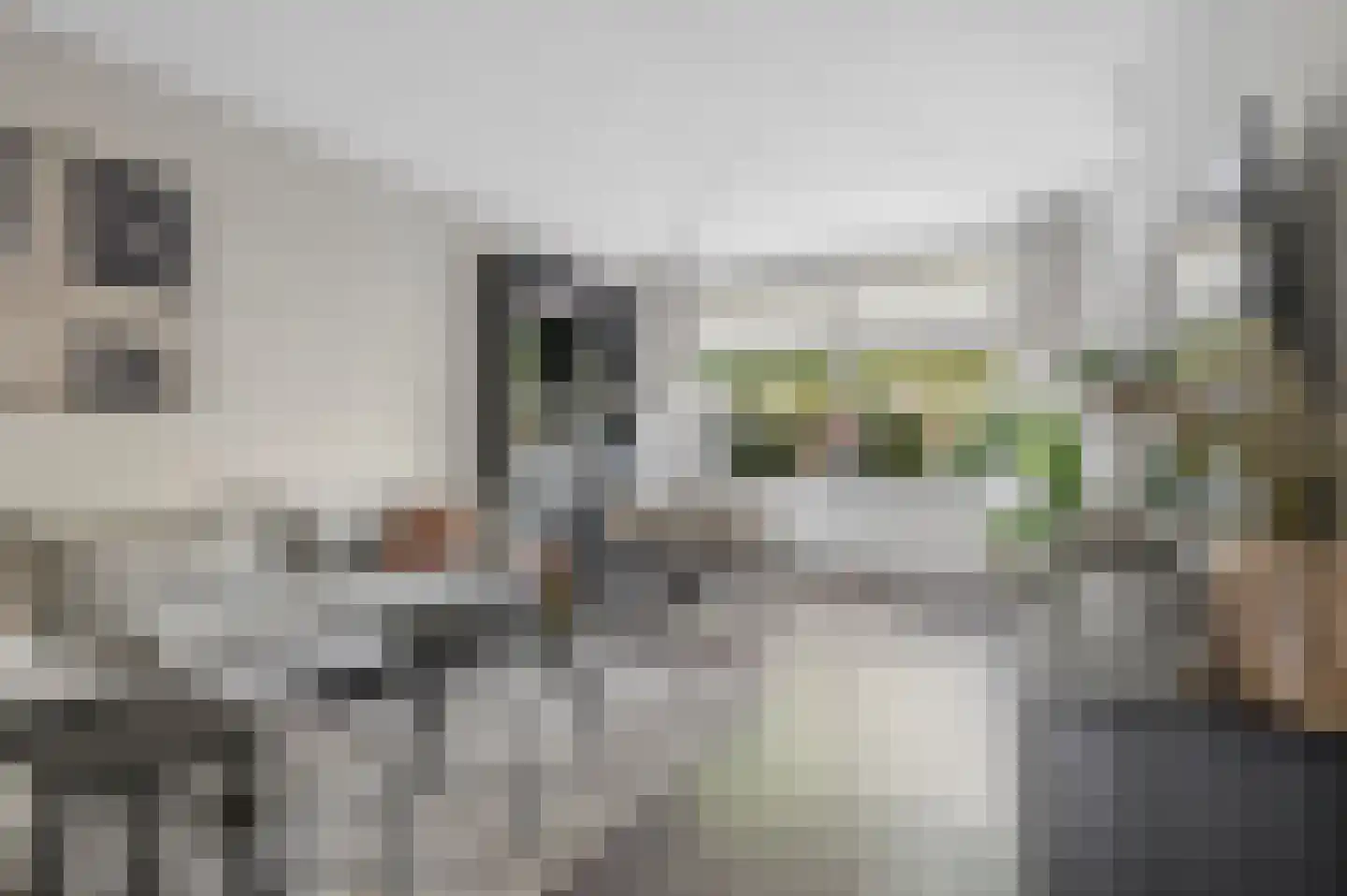 Jan Th. Tooroplaan 30 Ede thumbnail 5