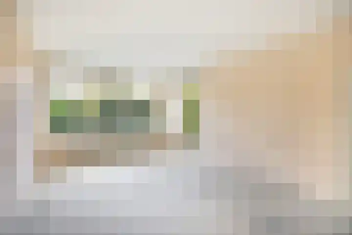Jan Th. Tooroplaan 32 Ede thumbnail 5