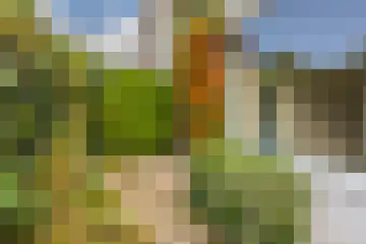 Jan Th. Tooroplaan 32 Ede thumbnail 7