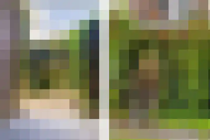 Jan Th. Tooroplaan 32 Ede thumbnail 8