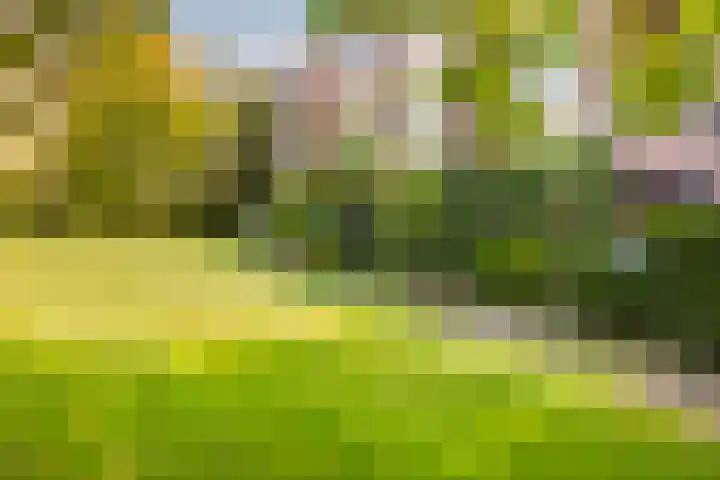 Jan Th. Tooroplaan 32 Ede thumbnail 9