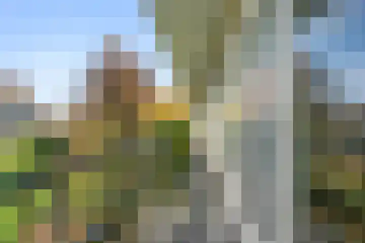 Jan Th. Tooroplaan 39 Ede thumbnail 15