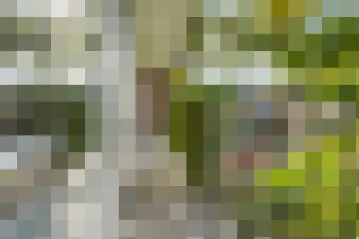 Jan Th. Tooroplaan 39 Ede thumbnail 16