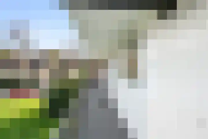 Jan Th. Tooroplaan 39 Ede thumbnail 22