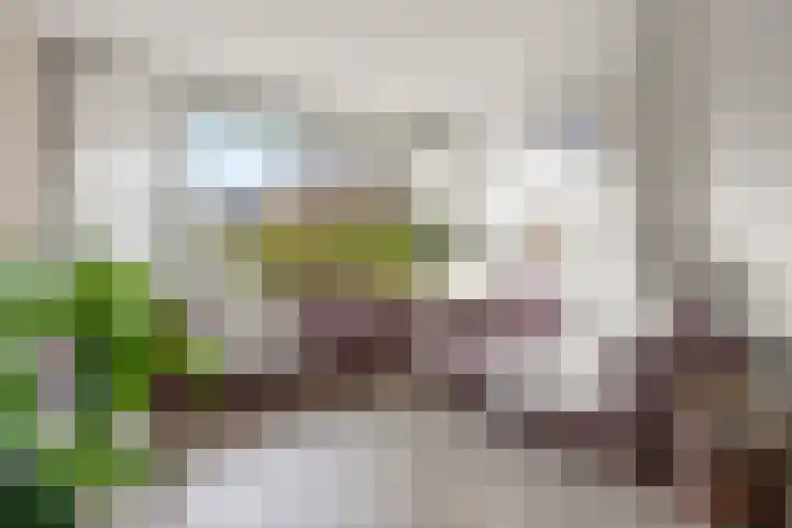 Jan Th. Tooroplaan 39 Ede thumbnail 4