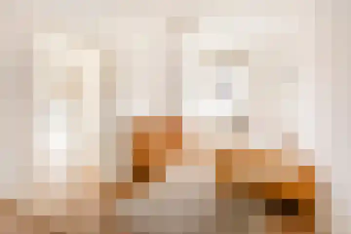 Jan Th. Tooroplaan 42 Ede thumbnail 13
