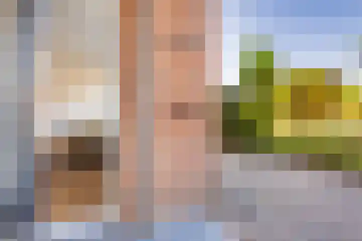 Jan Th. Tooroplaan 42 Ede thumbnail 6