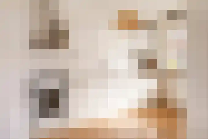 Jan Th. Tooroplaan 42 Ede thumbnail 7