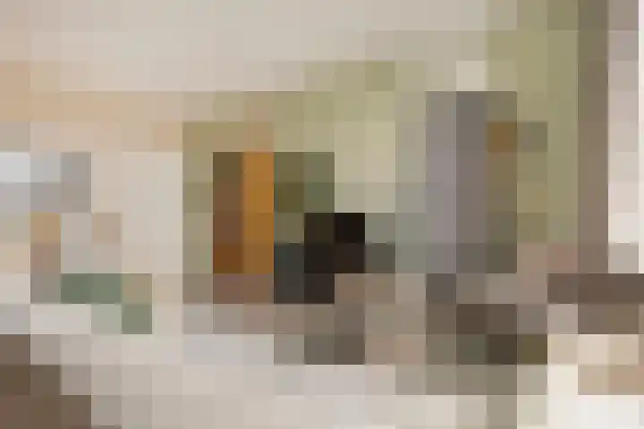 Jan Th. Tooroplaan 50 2 Ede thumbnail 10