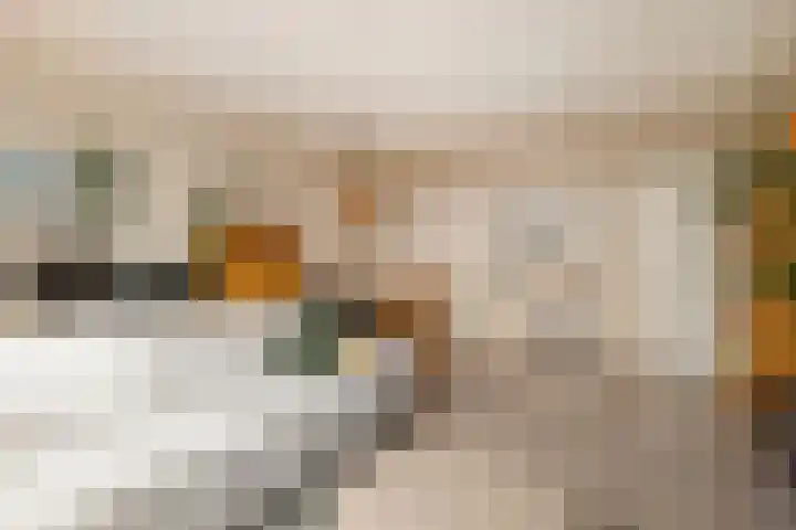 Jan Th. Tooroplaan 50 2 Ede thumbnail 11