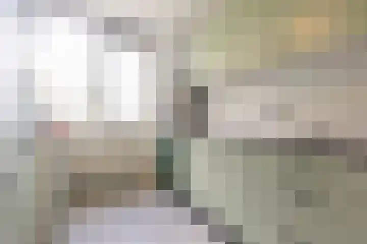 Jan Th. Tooroplaan 50 2 Ede thumbnail 15