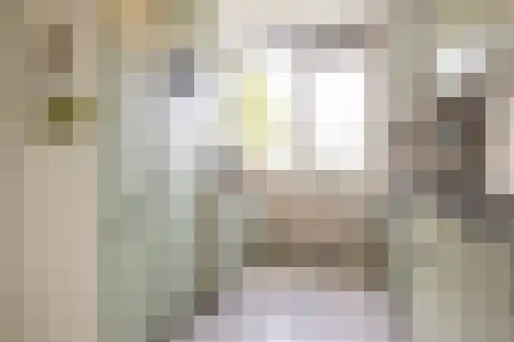 Jan Th. Tooroplaan 50 2 Ede thumbnail 16