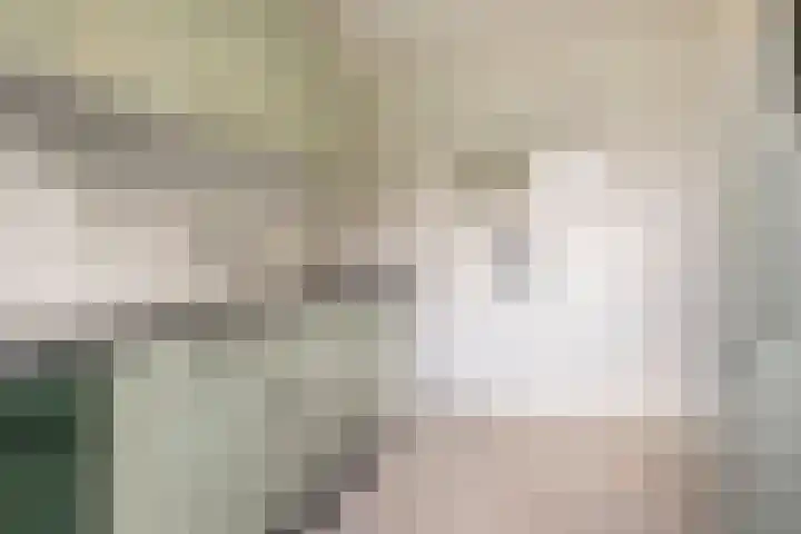 Jan Th. Tooroplaan 50 2 Ede thumbnail 17