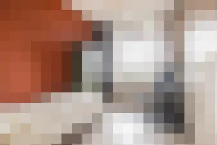 Jan Th. Tooroplaan 50 2 Ede thumbnail 22