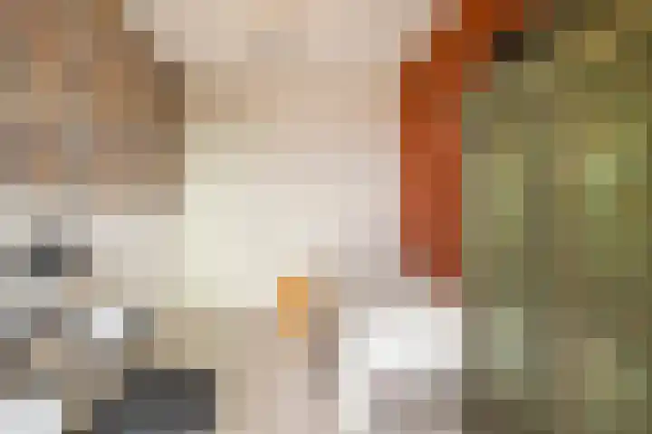 Jan Th. Tooroplaan 50 2 Ede thumbnail 23