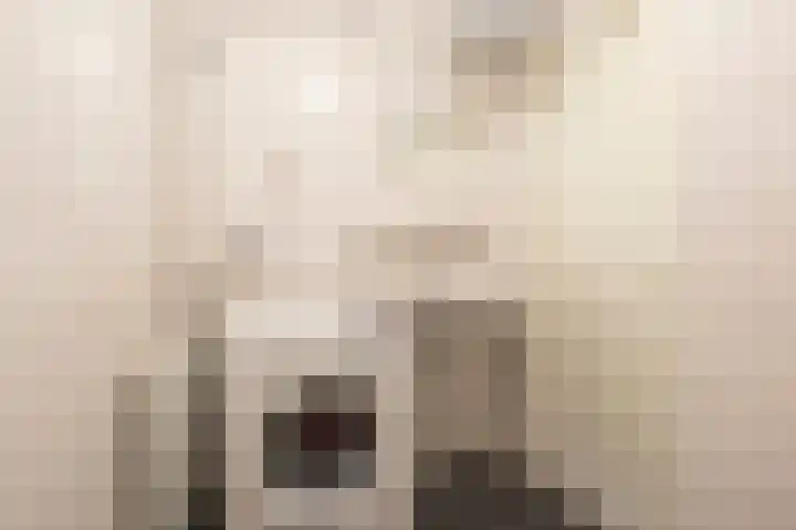 Jan Th. Tooroplaan 50 2 Ede thumbnail 24