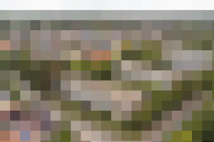 Jan Th. Tooroplaan 50 2 Ede thumbnail 30
