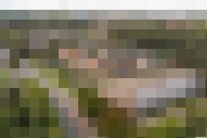 Jan Th. Tooroplaan 50 2 Ede thumbnail 31