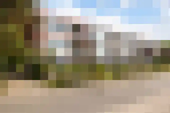 Jan Th. Tooroplaan 50 2 Ede thumbnail 34