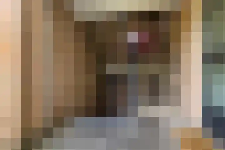 Jan Th. Tooroplaan 50 2 Ede thumbnail 5