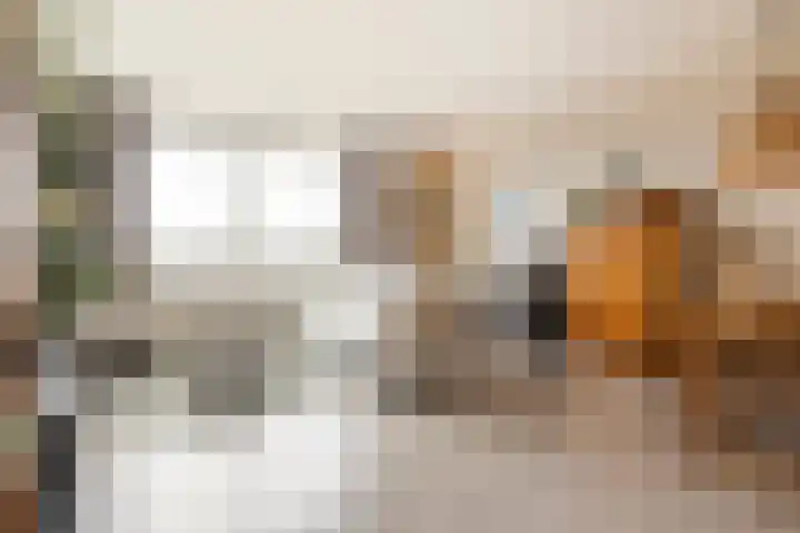 Jan Th. Tooroplaan 50 2 Ede thumbnail 8